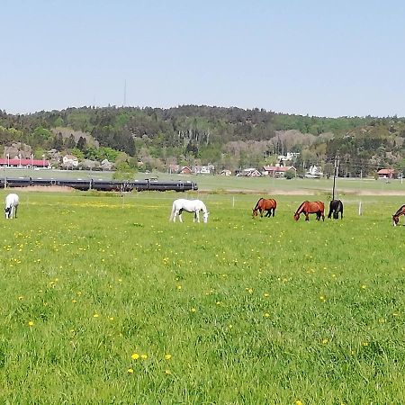 Stuga Pa Hammarbergs Gard Kungsbacka Exterior foto